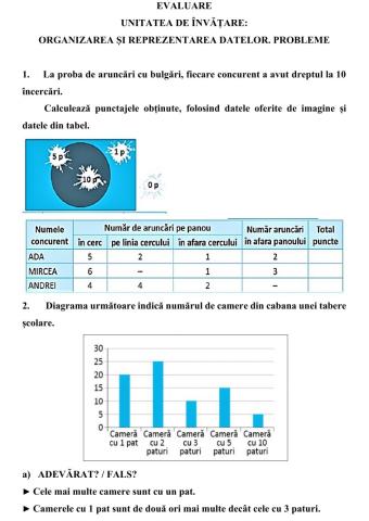 Evaluare: Organizarea și reprezentare datelor. Probleme