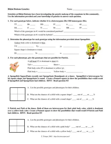 Sponge Bob Genetics Punnett Square Practice