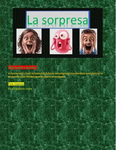 La sorpresa