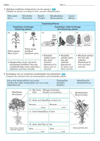 BAB 1 CLASSIFICATION OF PLANTS BI