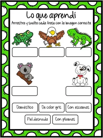 Conocemos los animales