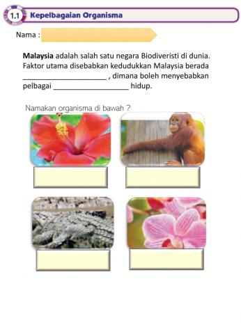 Sains Biodiversiti