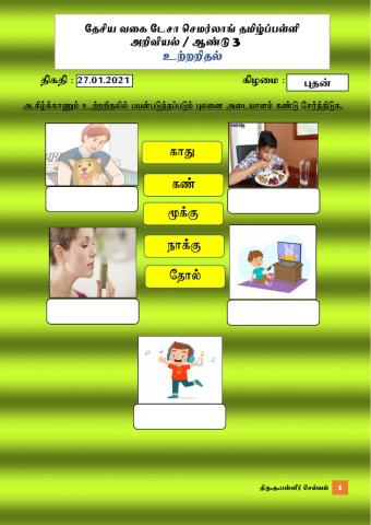 அறிவியல் -உற்றறிதல் ஆண்டு 3 (த.பன்னீர்)