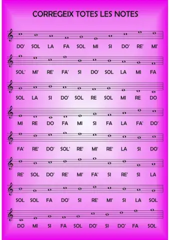 Corregeix totes les notes