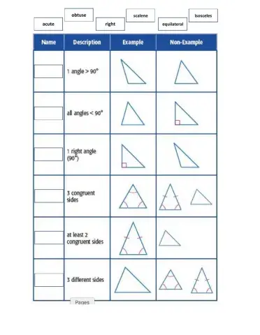 Types of Triangles