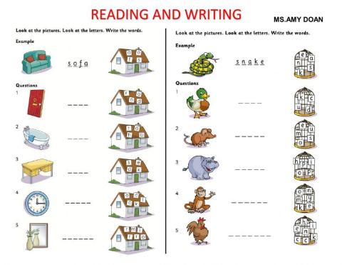 Starters Test - Reading and Writing