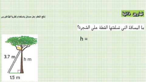 نظرية فيثاغورث