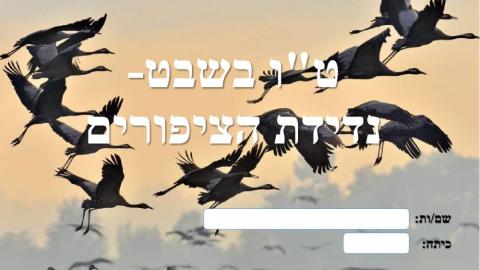 נדידת ציפורים