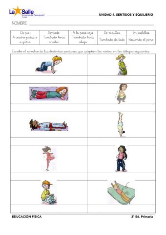 Ficha interactiva de repaso-UD4 Sentidos y Equilibrio-EF2ep