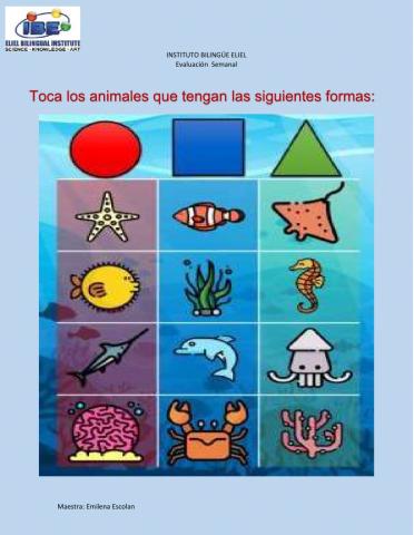 Conocimiento básicos