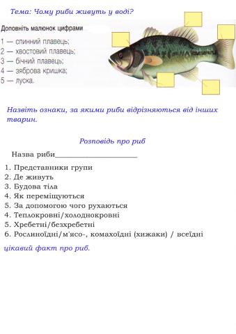 Чому риби живуть у воді?