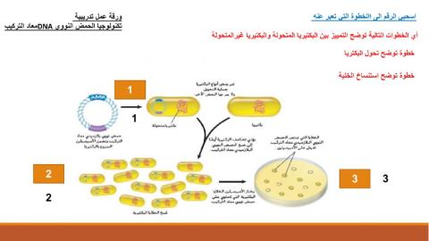 تكنولوجيا الحمض النووي