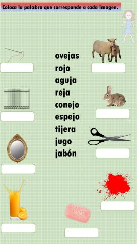 Coloca la palabra con la imagen correspondiente.