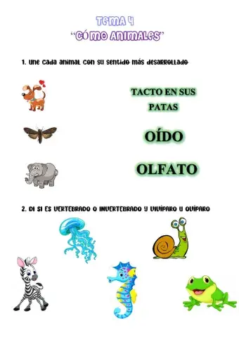 Entangarillao 4 Natu