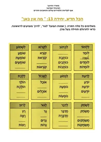 הכל חדש 13
