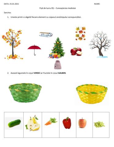 Cunoașterea mediului Evaluare anotimpuri