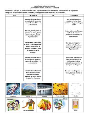 Las clasificaciones del ser