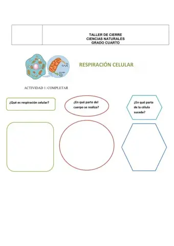 Respiración celular