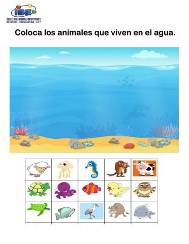 Conocimiento del medio