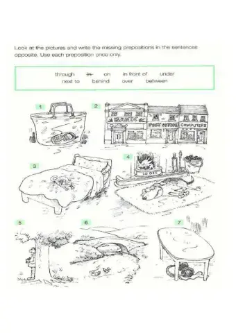 Prepositions of place, verbs and food vocabulary