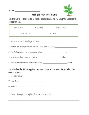 Seed and Non-seed Plants