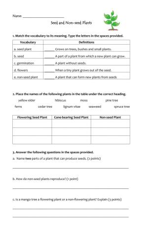 Seed and Non-seed Plants