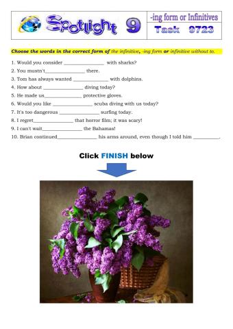 Spotlight 9 Task 9723