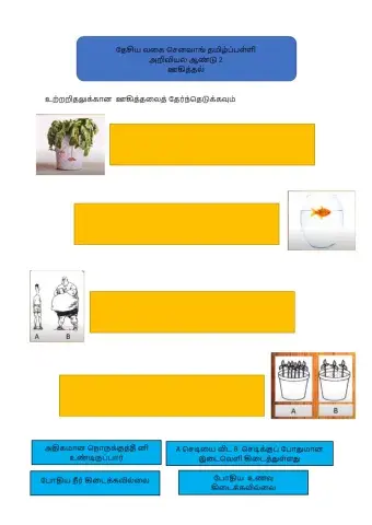 ஊகித்தல் ஆண்டு 2