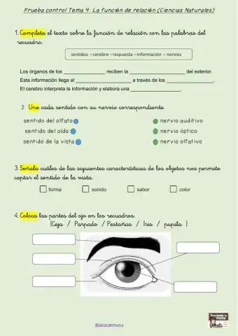 Control: La función de relación