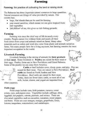 Farming in The Bahamas