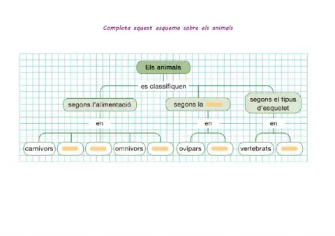 Classificació animals