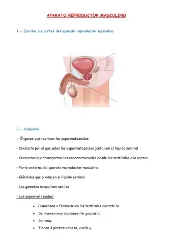 Aparatos reproductores