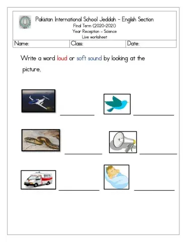 Science live worksheet sources of sound