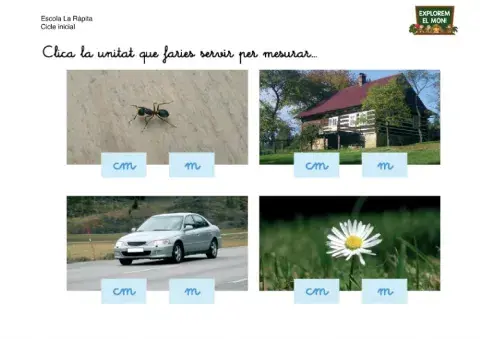 Unitats de mesura (m i cm)