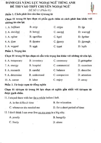 Đánh giá năng lực ngoại ngữ thi vào 10 Chuyên ngoại ngữ - Đề số 11.1