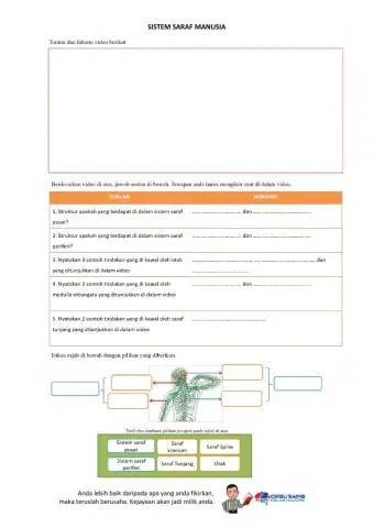 Pengenalan Sistem saraf manusia