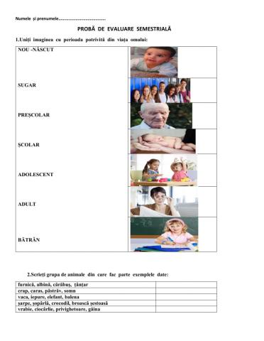 Probă de evaluare semestrială