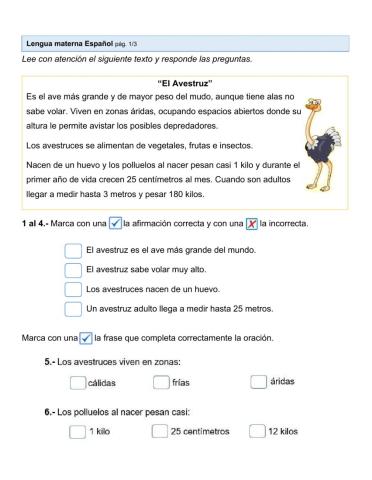 Examen diagnóstico 2da parte español