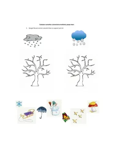 Evaluare Semestriala