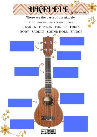 Ukelele parts