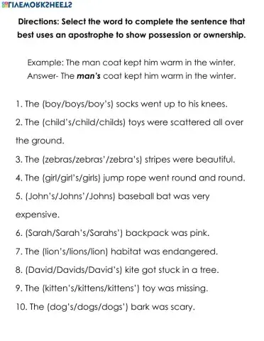 Singular Possessive Nouns