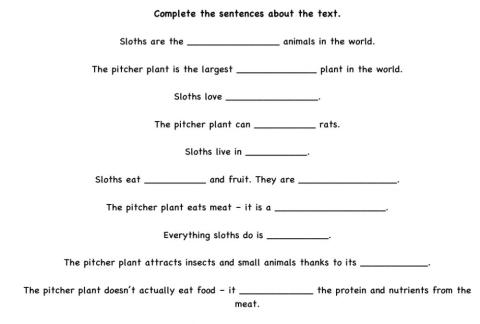 Sloths-pitcher plant