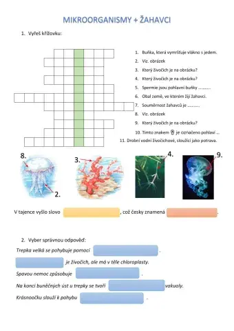 Žahavci a mikroorganismy