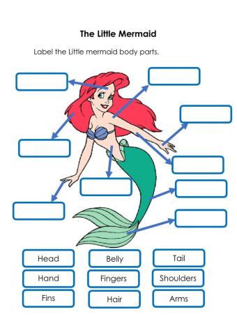 Label the little mermaid