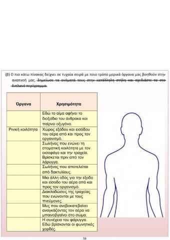 Ε' Φ.Επ. - Τα όργανα του αναπνευστικού συστήματος