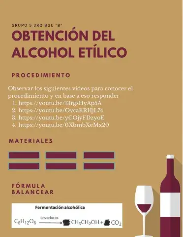 Proyecto Fermentación