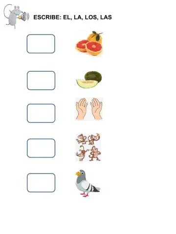 articulos y frases elegir y ordenar M