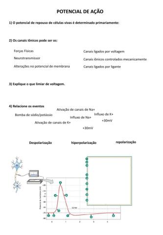 Potencial de ação