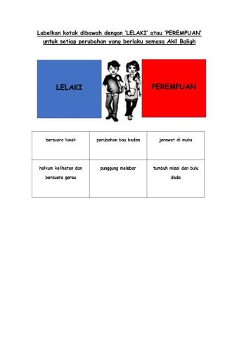 Pendidikan kesihatan T4
