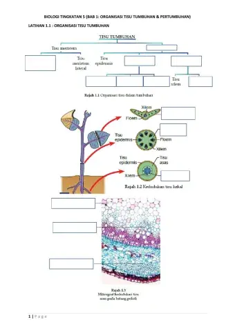 Latihan 1.1 (biologi bab 1 ting 5)